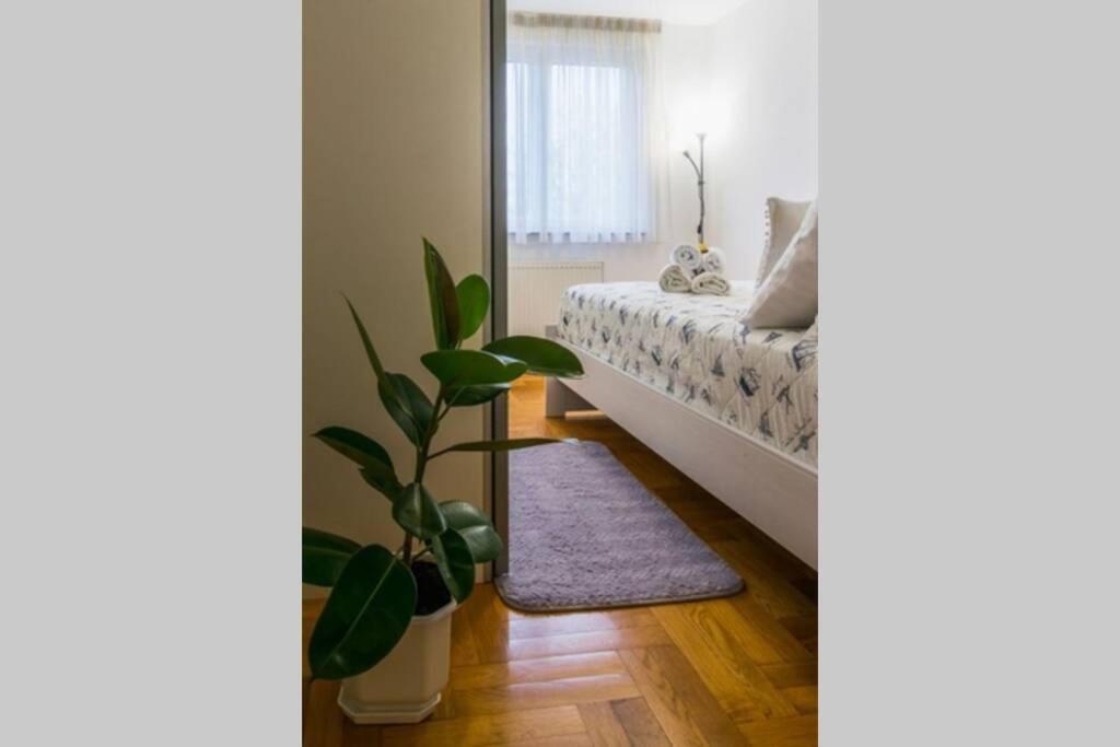 Apartment Jarun Brac Zágráb Kültér fotó